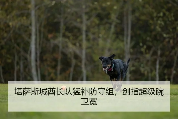堪萨斯城酋长队猛补防守组，剑指超级碗卫冕